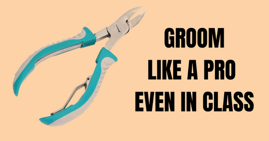 Minimalist Grooming: Essentials for College Students by LA Cross